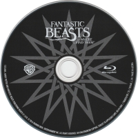 Płyta fantastic_beasts_and_where_to_find_them_2016