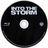 Płyta into_the_storm_2014