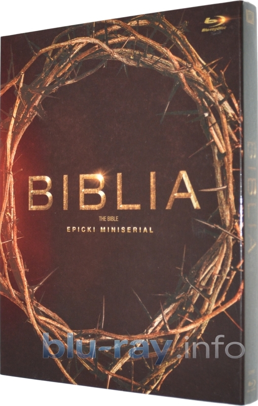 bible 2013