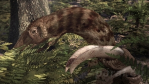 Miniatura